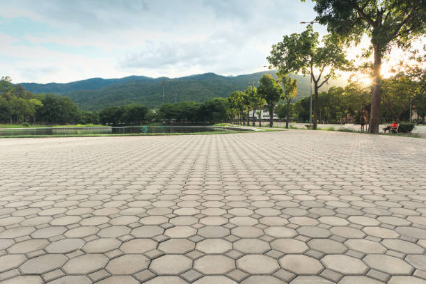 Best Residential Driveway Paver Services  in Pea Ridge, WV